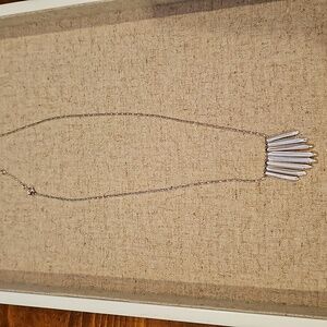 Stella & Dot Silver Necklace